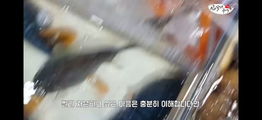 활어 수산시장에서 참복 사려고 갔다가 생긴 일.jpg_13.jpg