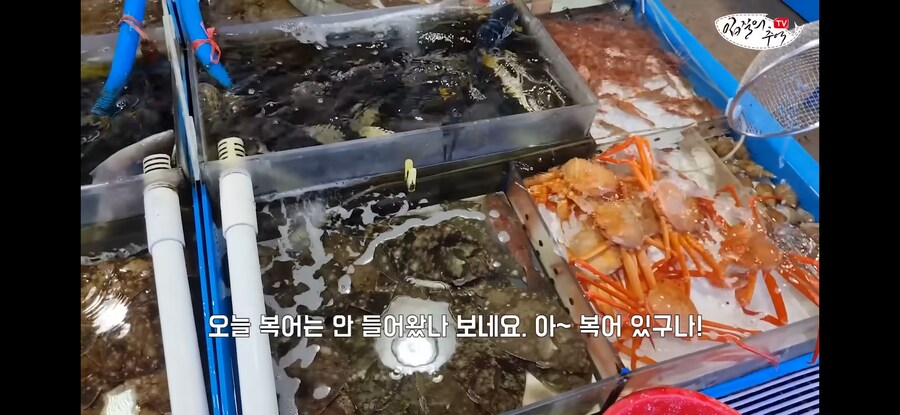 활어 수산시장에서 참복 사려고 갔다가 생긴 일.jpg_3.jpg