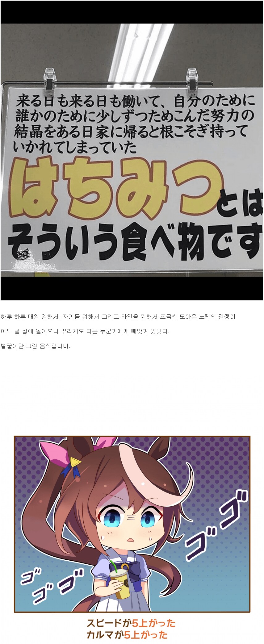 벌꿀의 진실.png_1.png