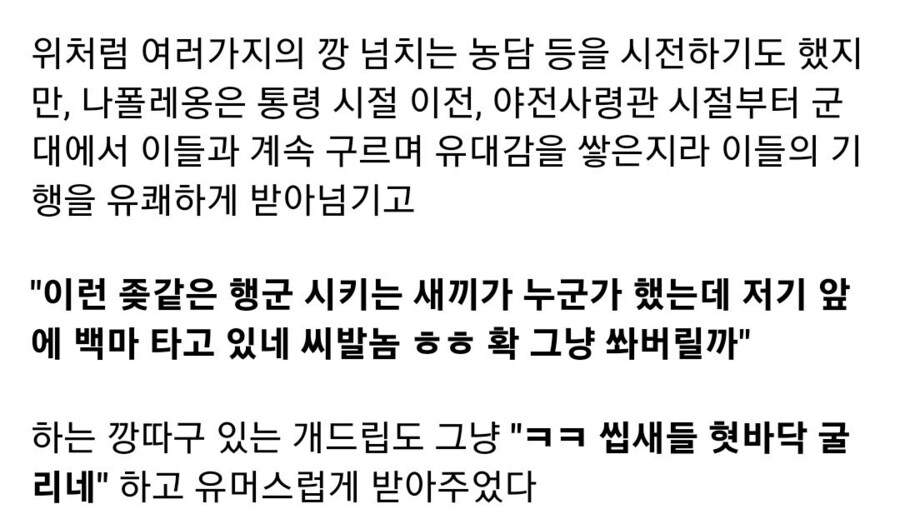 나폴레옹의 아들들, 근위대_3.jpg