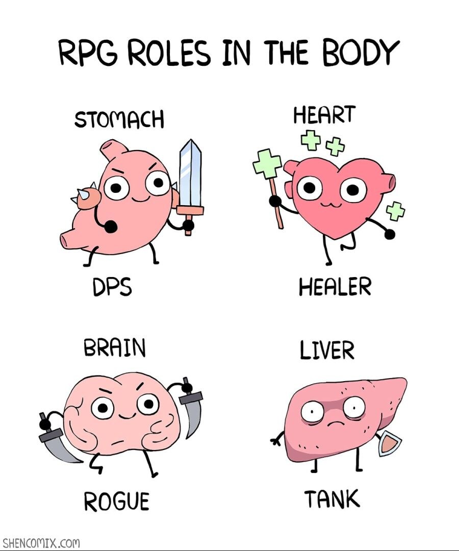 몸 속 장기들의 RPG 직업.jpg_1.jpg