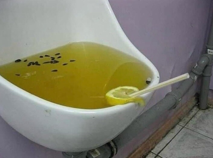 간만에 올리는 저주받은 사진 2장_1.jpg
