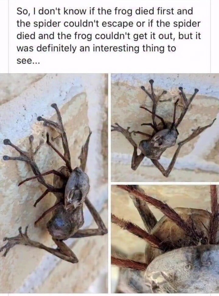 간만에 올리는 저주받은 사진 2장_2.jpg