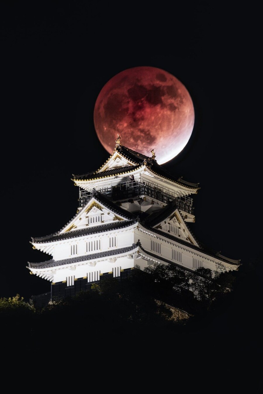 일본에서 찍힌 달사진_1.jpg