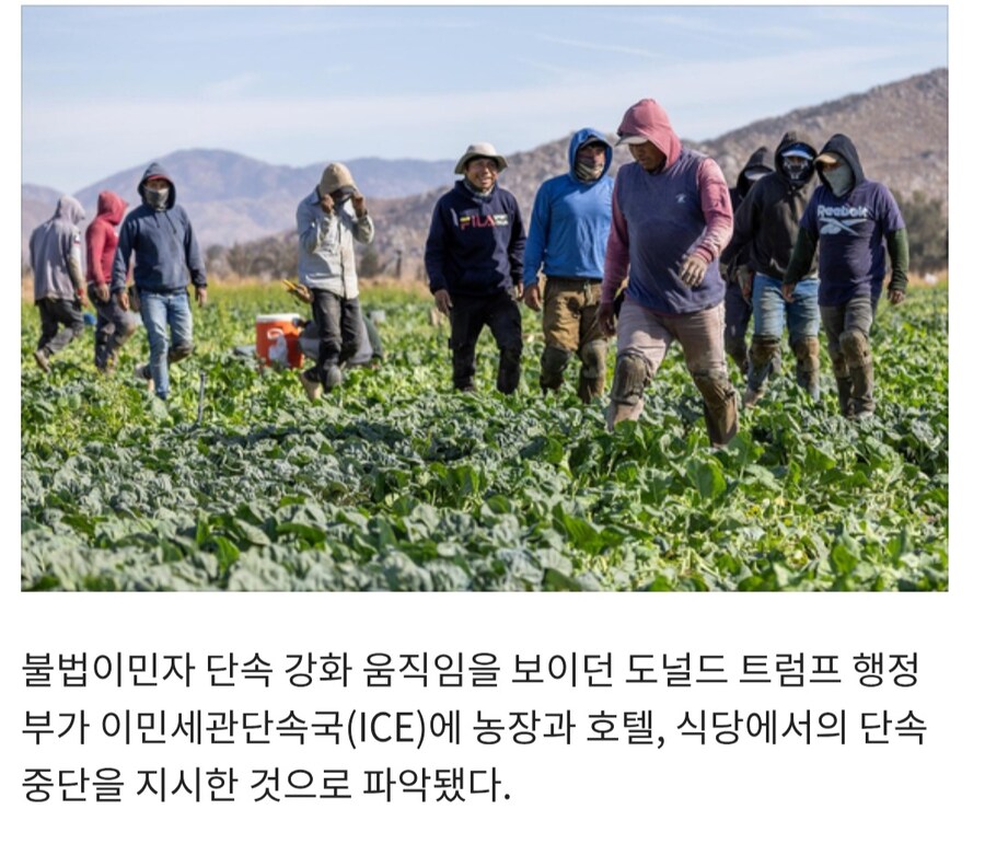 생각보다 세계의 진실에 가까운 장면_2.jpg
