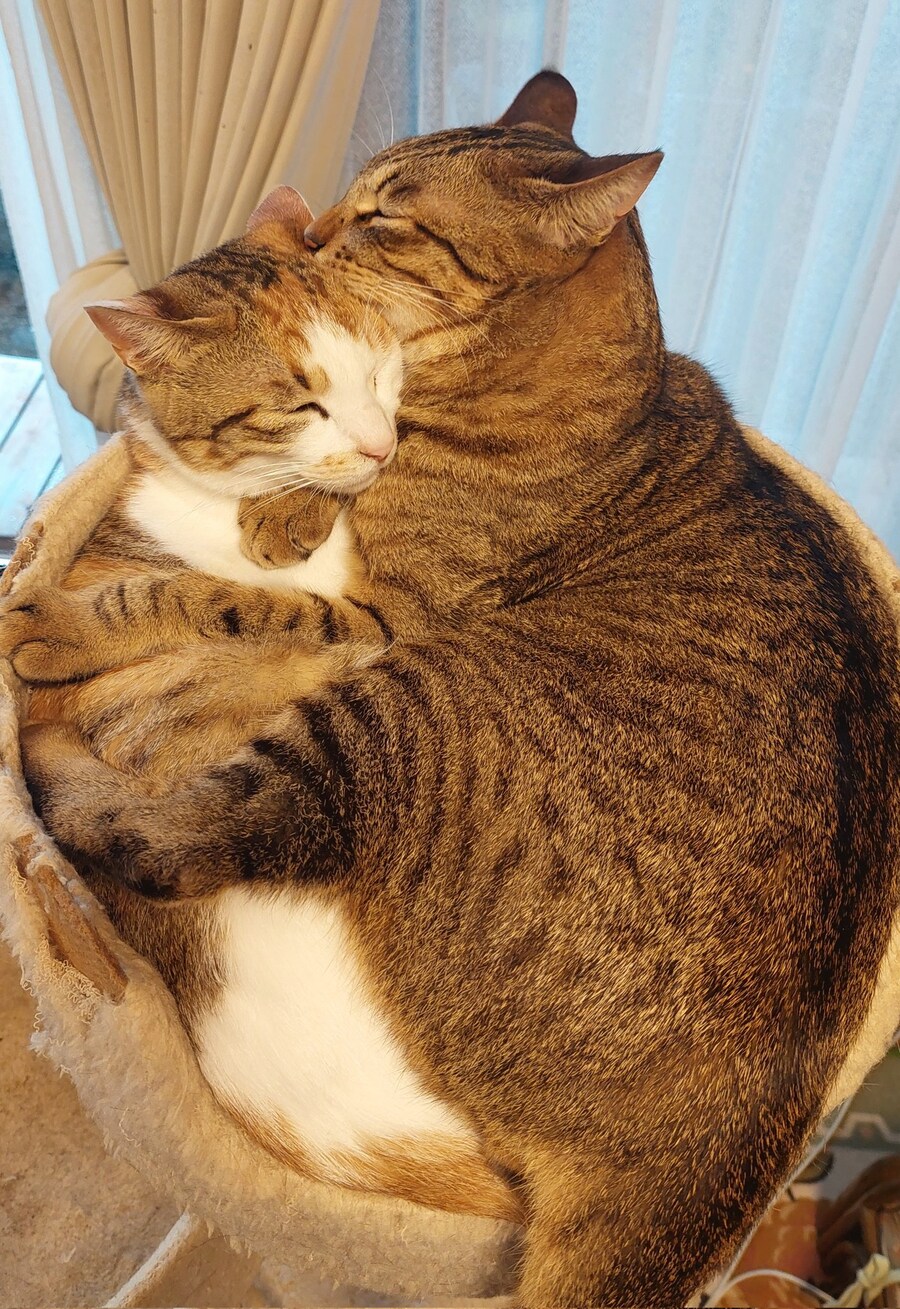 꽉차오른 확대의 결과.jpg_2.jpg