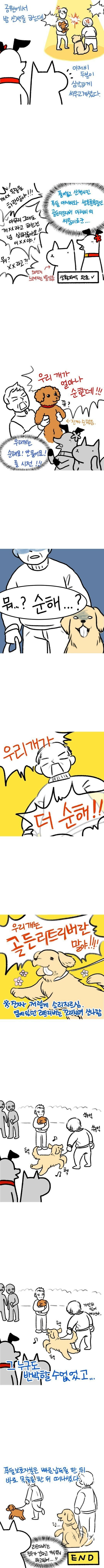 골든리트리버 주인아저씨의 분노_1.png