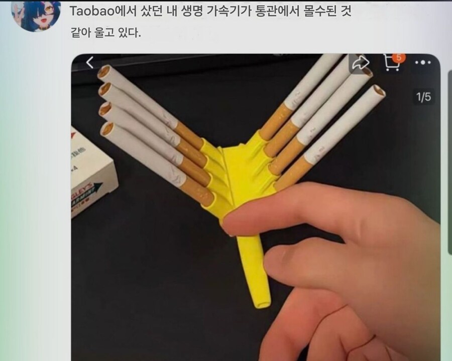 생명가속기.jpg_1.jpg