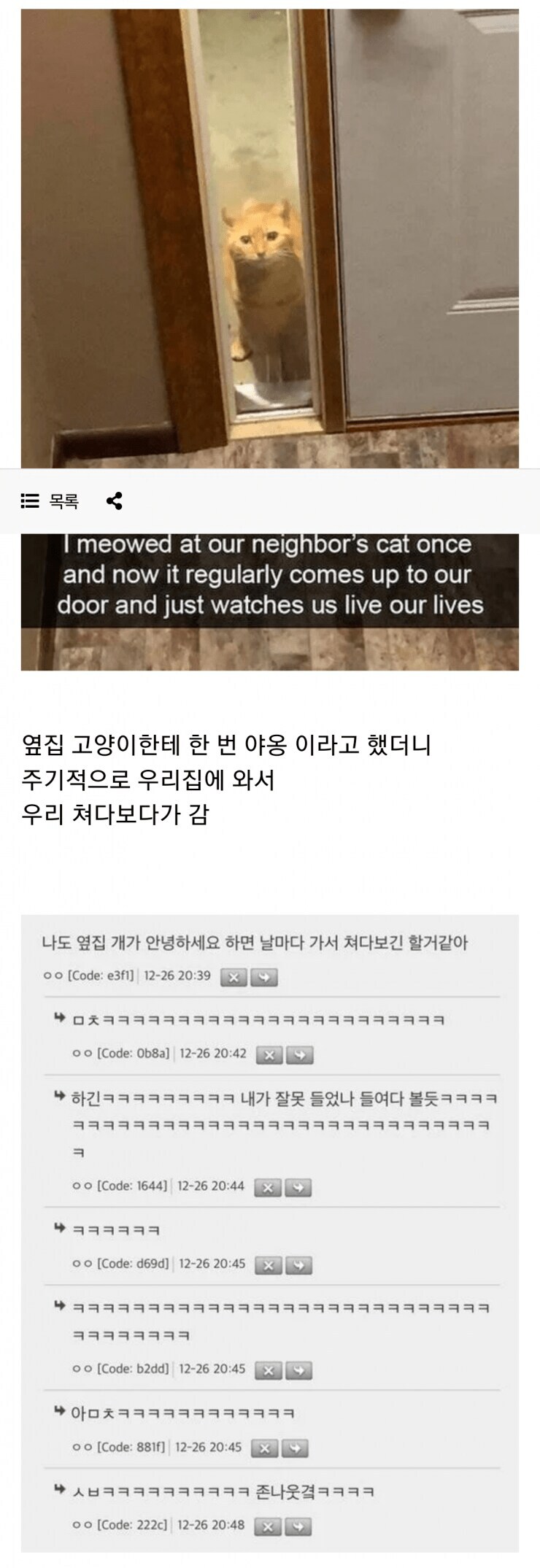고양이한테 함부로 야옹하면 안 되는 이유_1.png