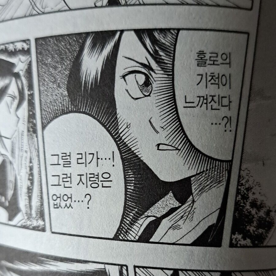 오경화수월이 블리치 번역에 찰떡인 이유_1.jpg