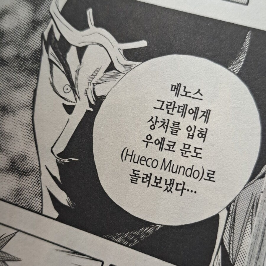 오경화수월이 블리치 번역에 찰떡인 이유_2.jpg