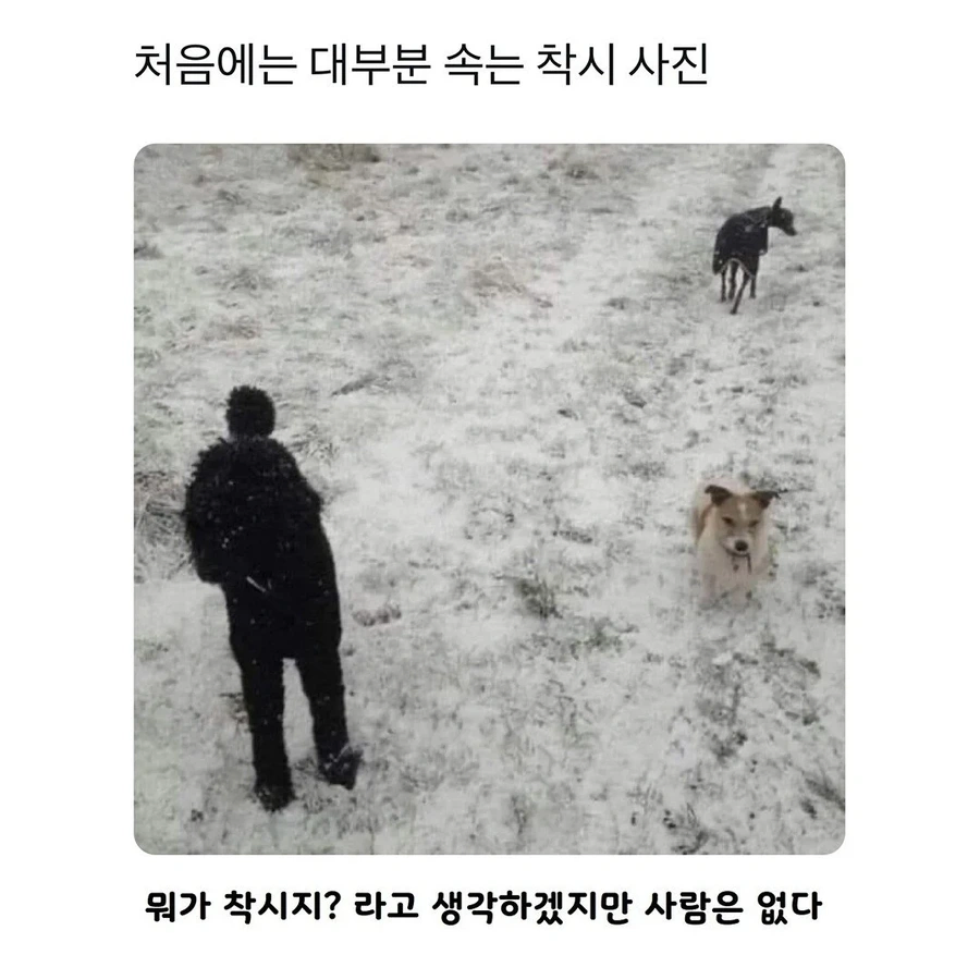 대부분이 보고 속는다는 착시짤_1.webp