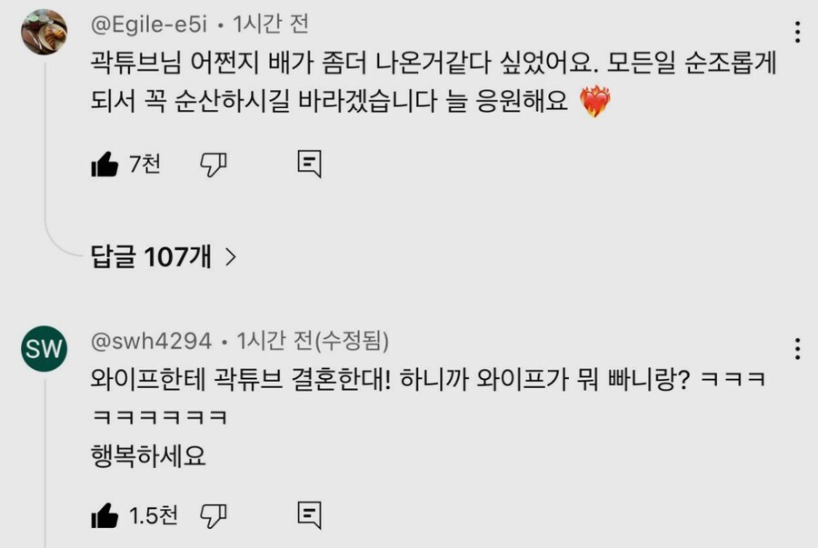 곽튜브 결혼 발표 악플들_1.jpg