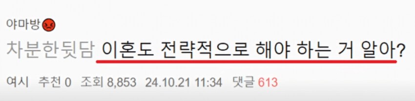 이혼도 계획적으로 해야한다는 여시 언냐.jpg_1.png