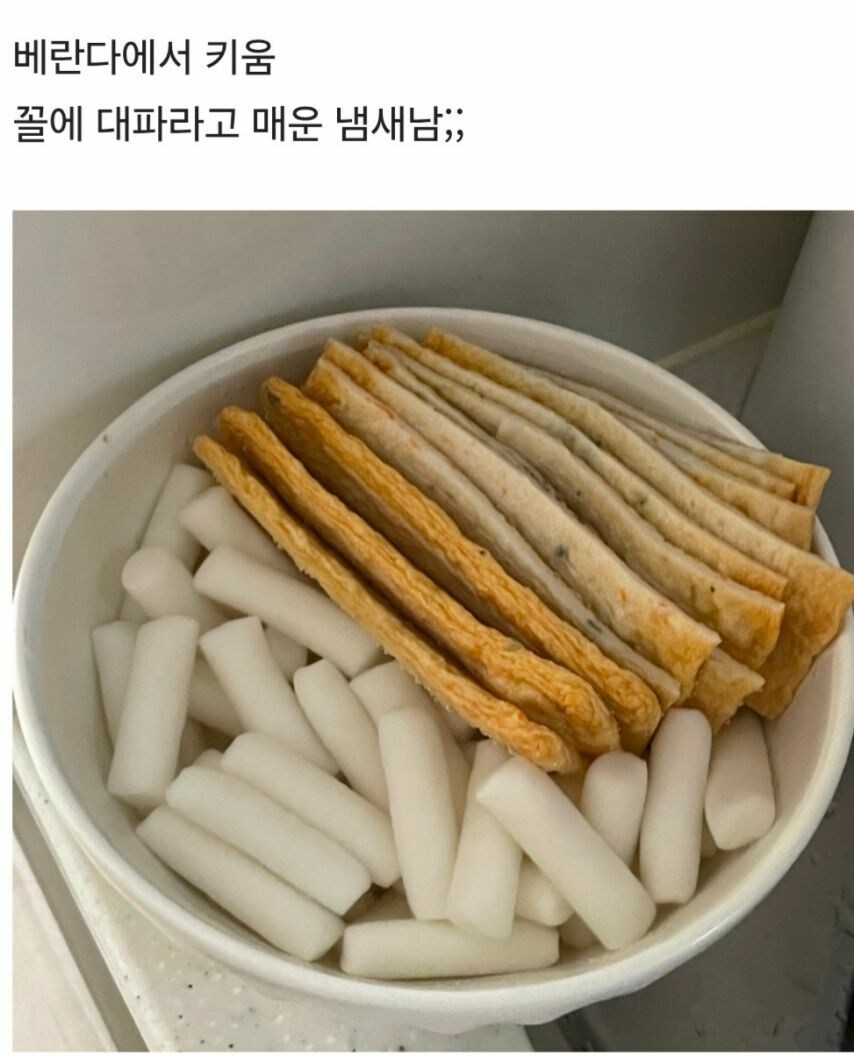 집에서 키운 대파로 요리하기_1.jpg