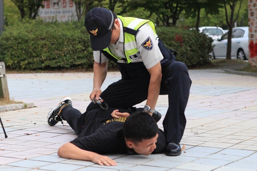 유머짤로 쓰이지만 의외로 진지했던 경찰들.jpg_3.jpg