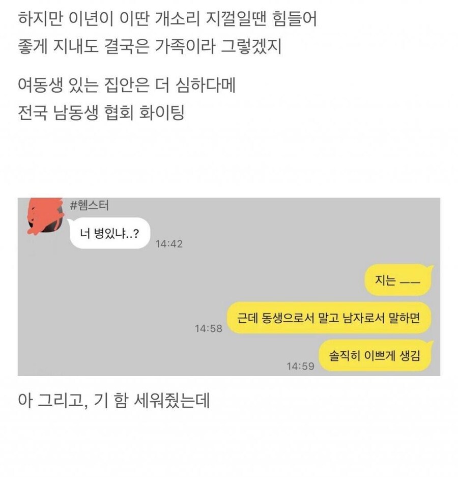 자기가 이쁘냐고 물어보는 친누나와 카톡_2.jpg