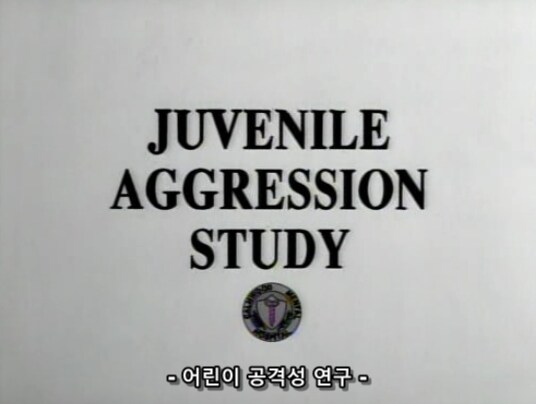 과학적으로 입증된 금쪽이 교정 치료법_6.png