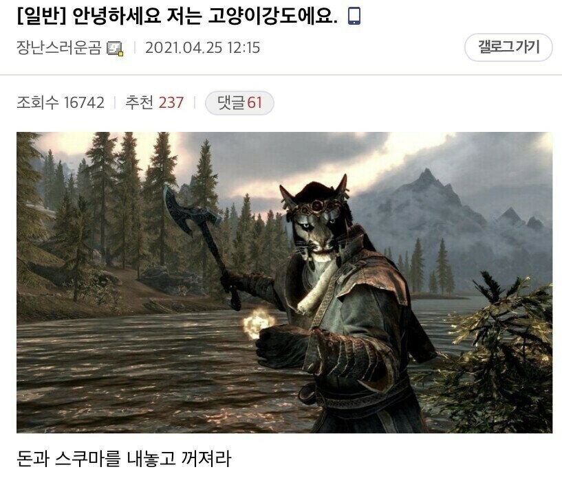 안녕하세요 전 고양이 강도에요.jpg_1.jpg