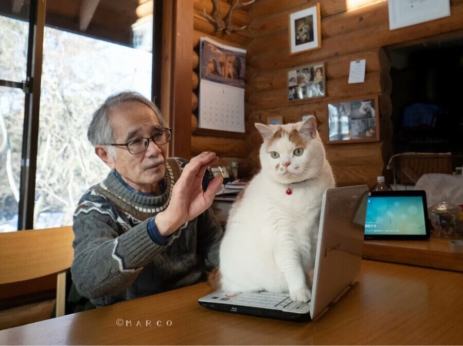 만지지 마라냥_1.jpg