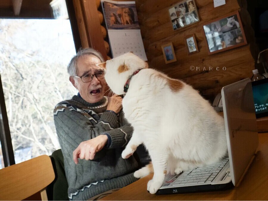 만지지 마라냥_3.jpg
