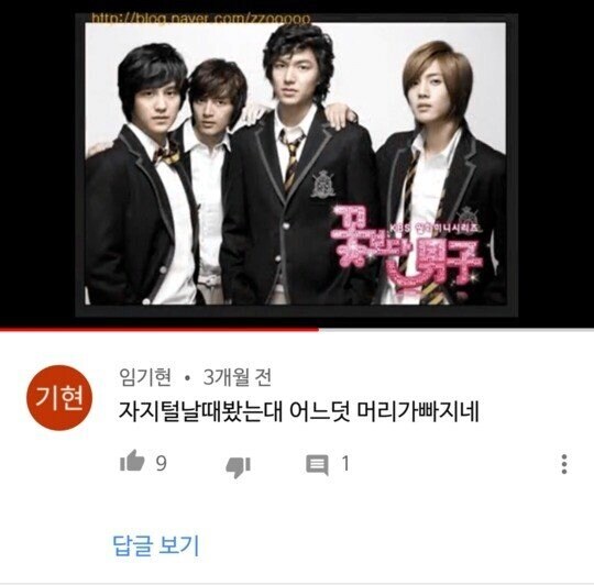 2009년 방영 꽃보다 남자 유튜브 영상을 본 어느 어르신의 댓글.jpg_1.jpg