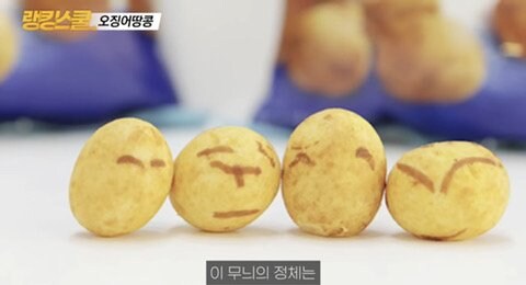 오징어 땅콩 무늬의 정체.jpg_1.jpg