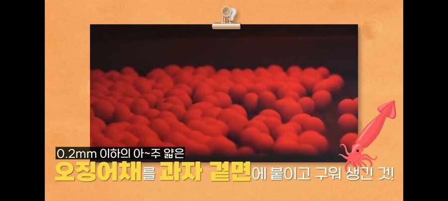 오징어 땅콩 무늬의 정체.jpg_3.jpg