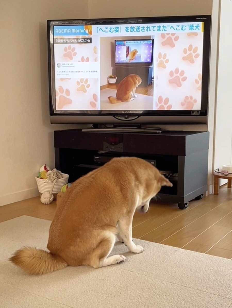 무한루프.jpg_1.jpg