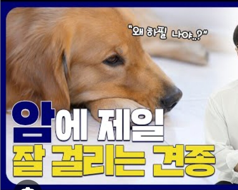 골댕이 최대단점_1.jpg