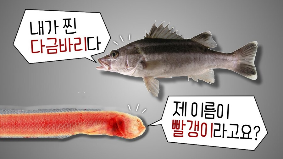 빨갱이 쉑.jpg_2.jpg