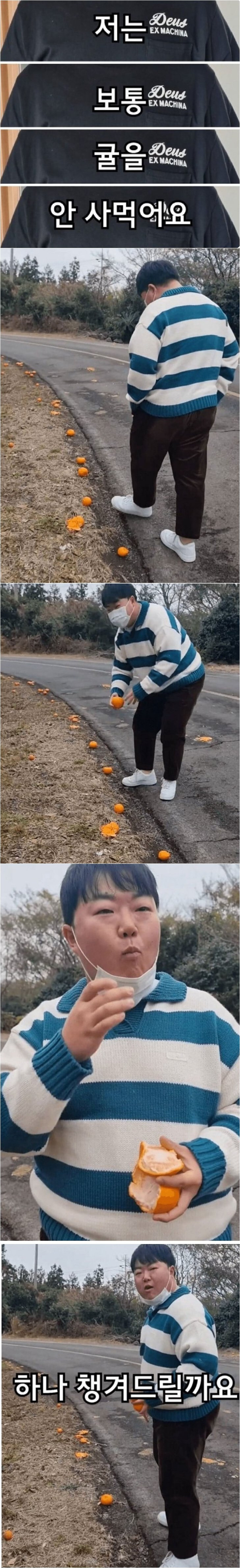 제주도민이 귤을 사먹는다는것은_1.jpg