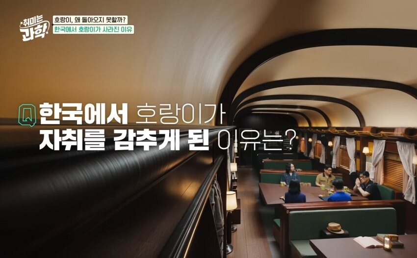 한반도에서 호랑이들이 사라진 이유_1.jpg