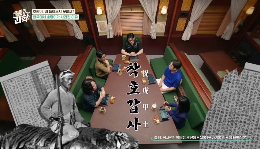 한반도에서 호랑이들이 사라진 이유_14.jpg