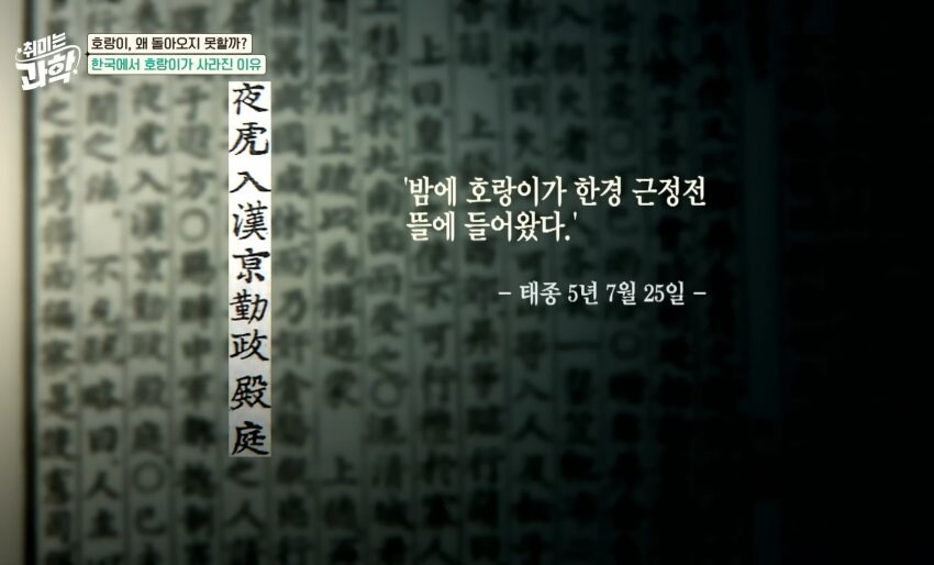 한반도에서 호랑이들이 사라진 이유_17.jpg