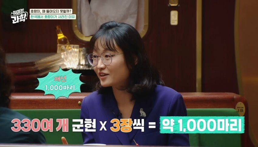한반도에서 호랑이들이 사라진 이유_22.jpg