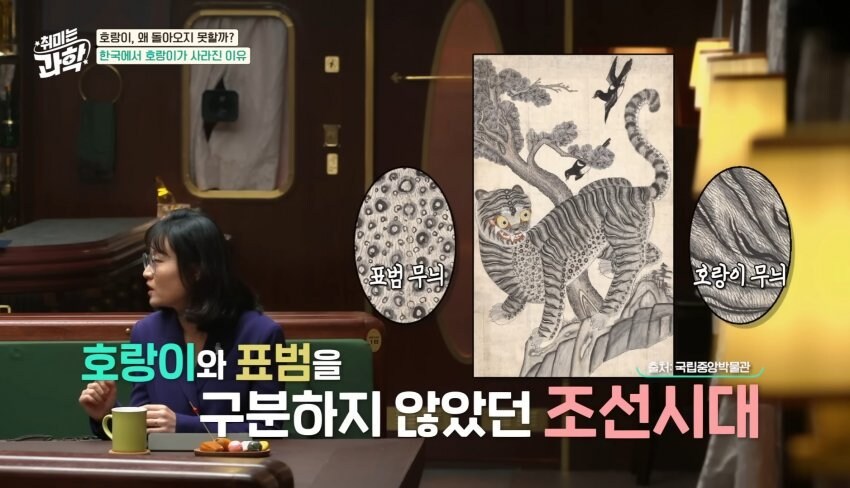 한반도에서 호랑이들이 사라진 이유_24.jpg