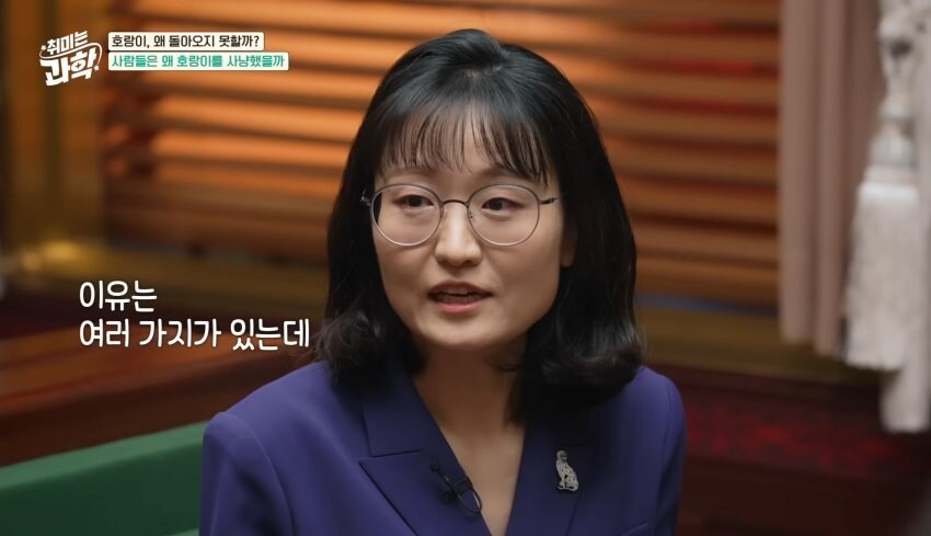 한반도에서 호랑이들이 사라진 이유_26.jpg