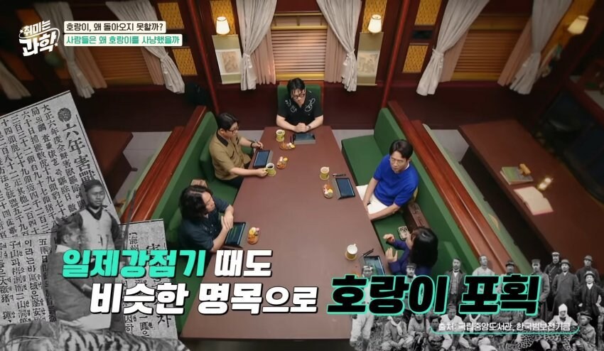 한반도에서 호랑이들이 사라진 이유_37.jpg