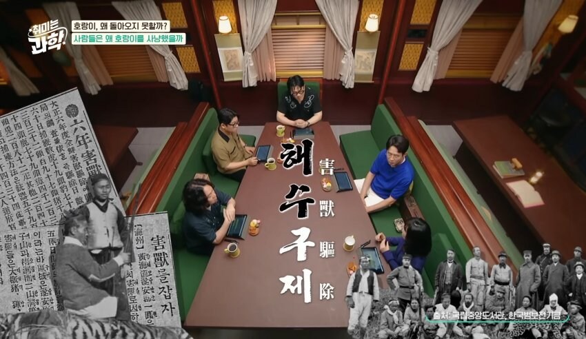 한반도에서 호랑이들이 사라진 이유_38.jpg