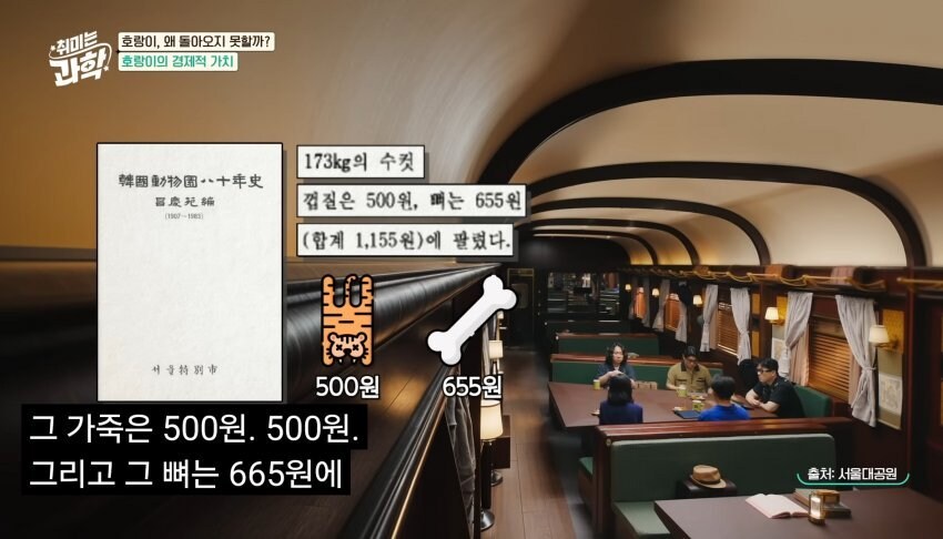 한반도에서 호랑이들이 사라진 이유_47.jpg