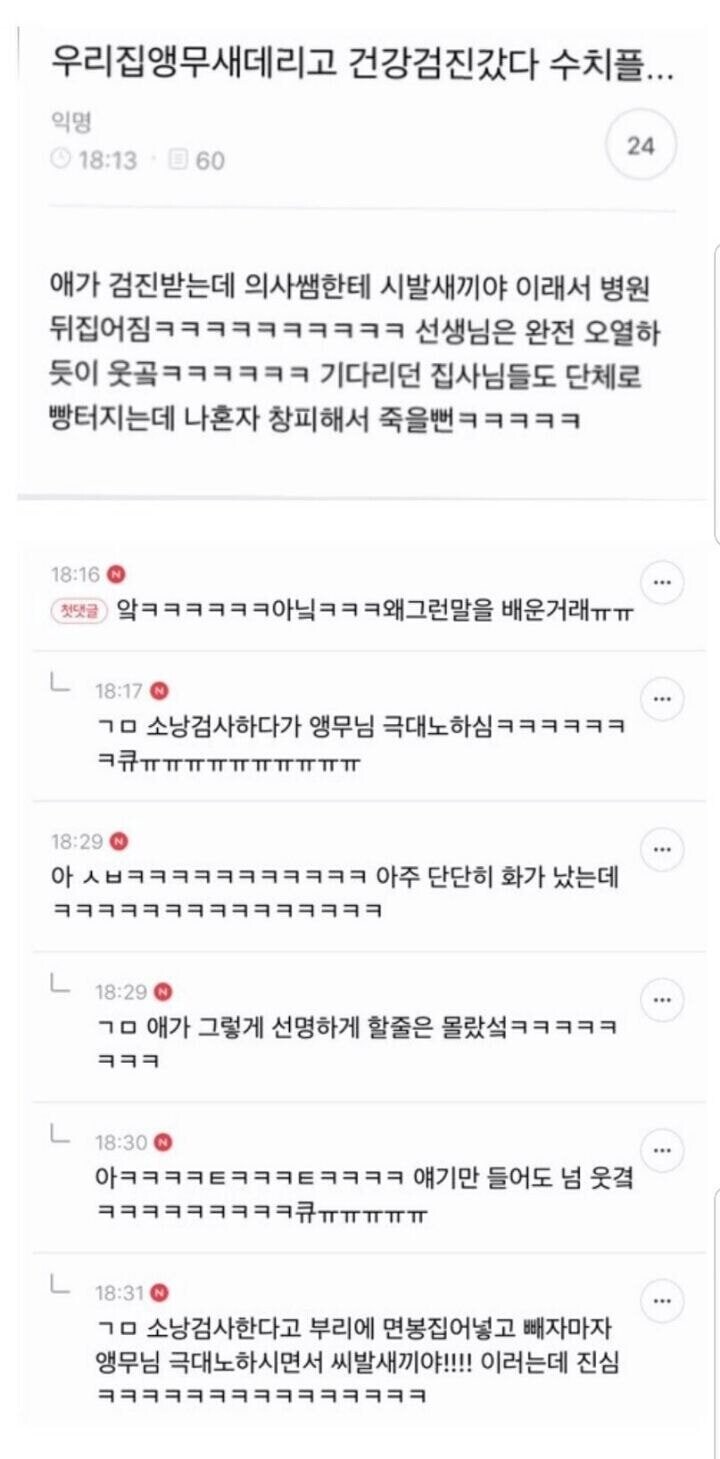 우리집앵무새데리고 건강검진갔다 수치플..._1.jpg
