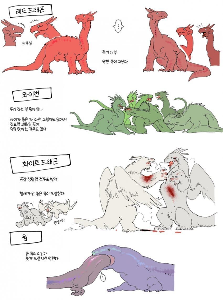던전밥)용들의 영역 다툼._1.jpg