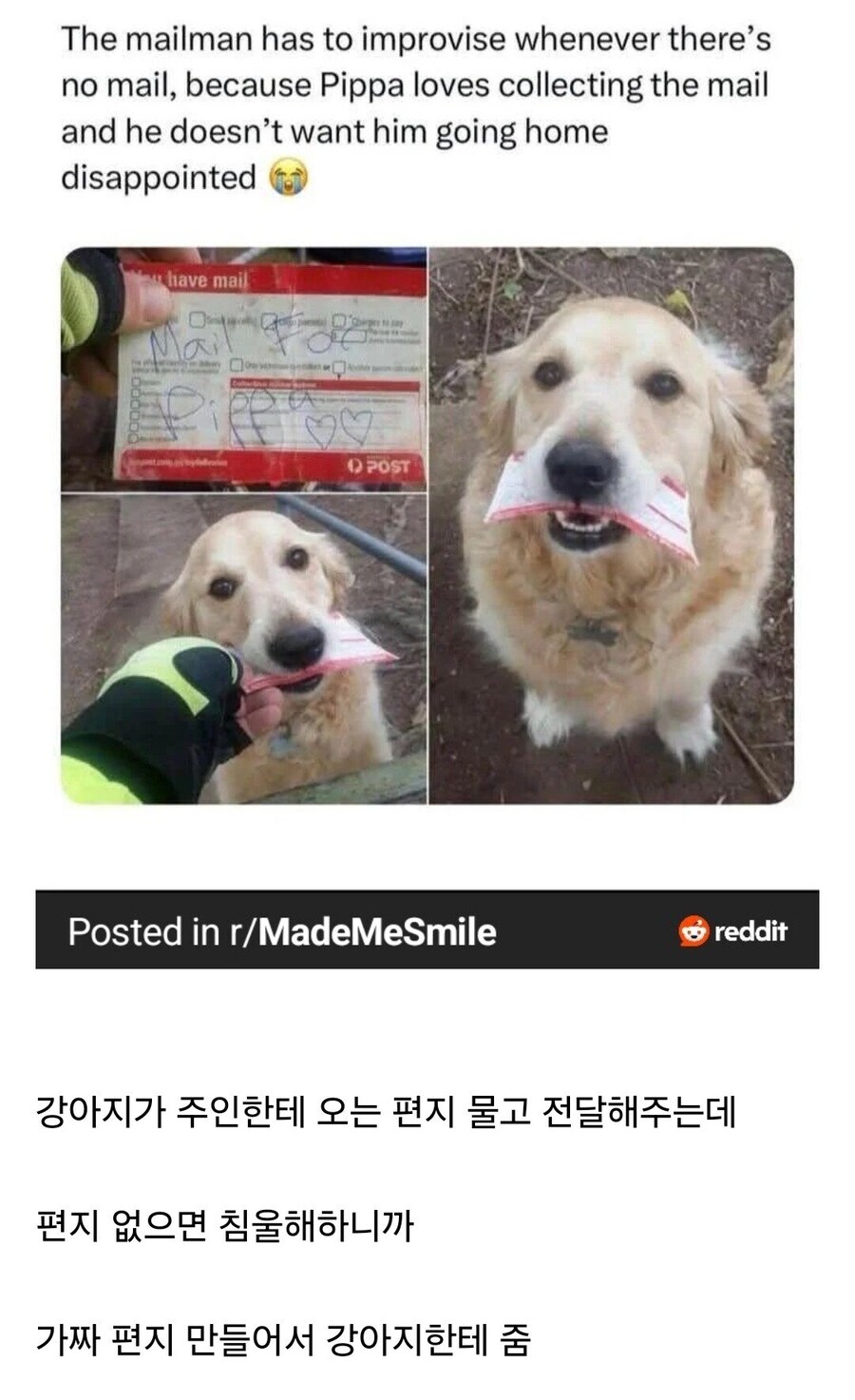 가짜편지 전달한 우체부_1.jpg