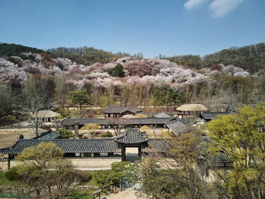 가보면 놀라는 ‘한국민속촌’_1.webp