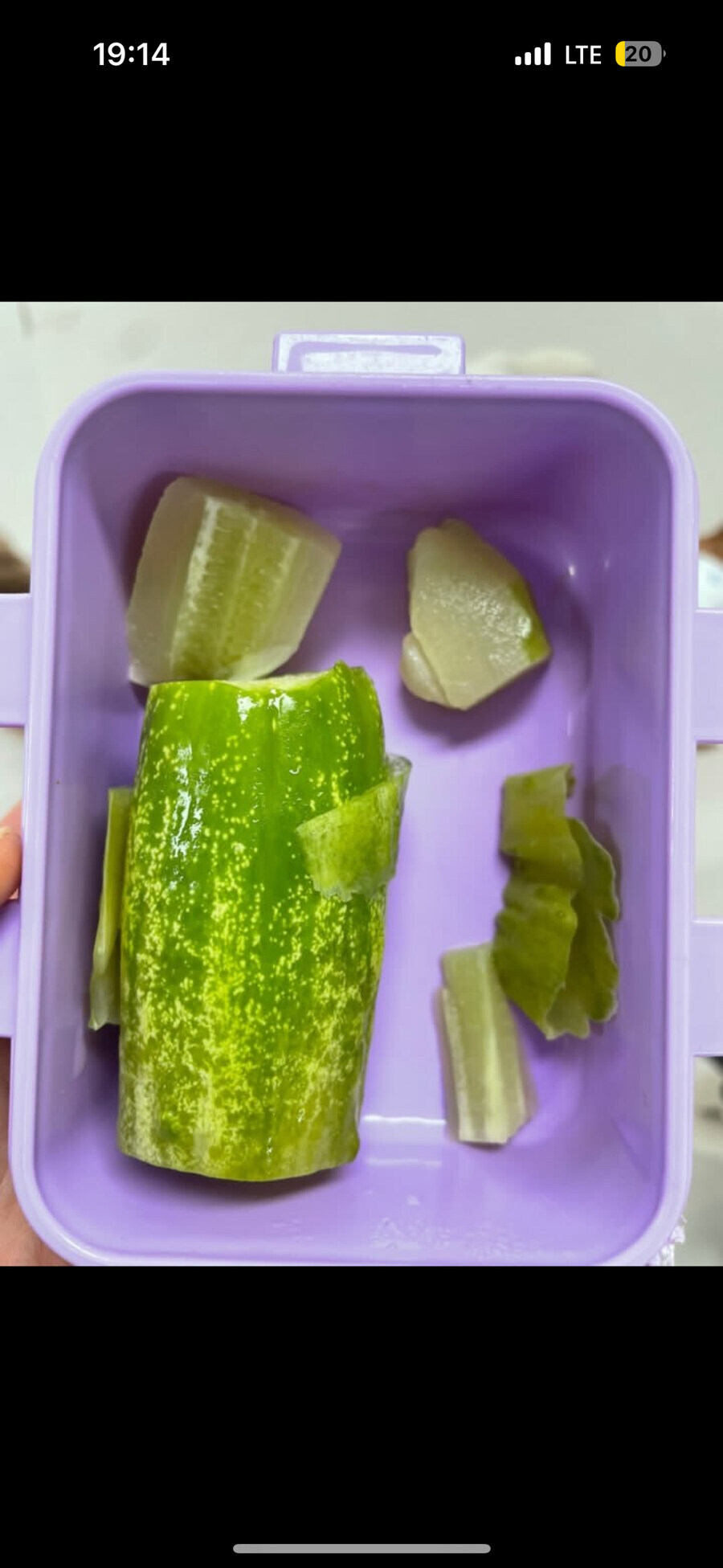 강아지 유치원에 도시락 잘못 싸서 보냈더니 온 카톡_2.jpg