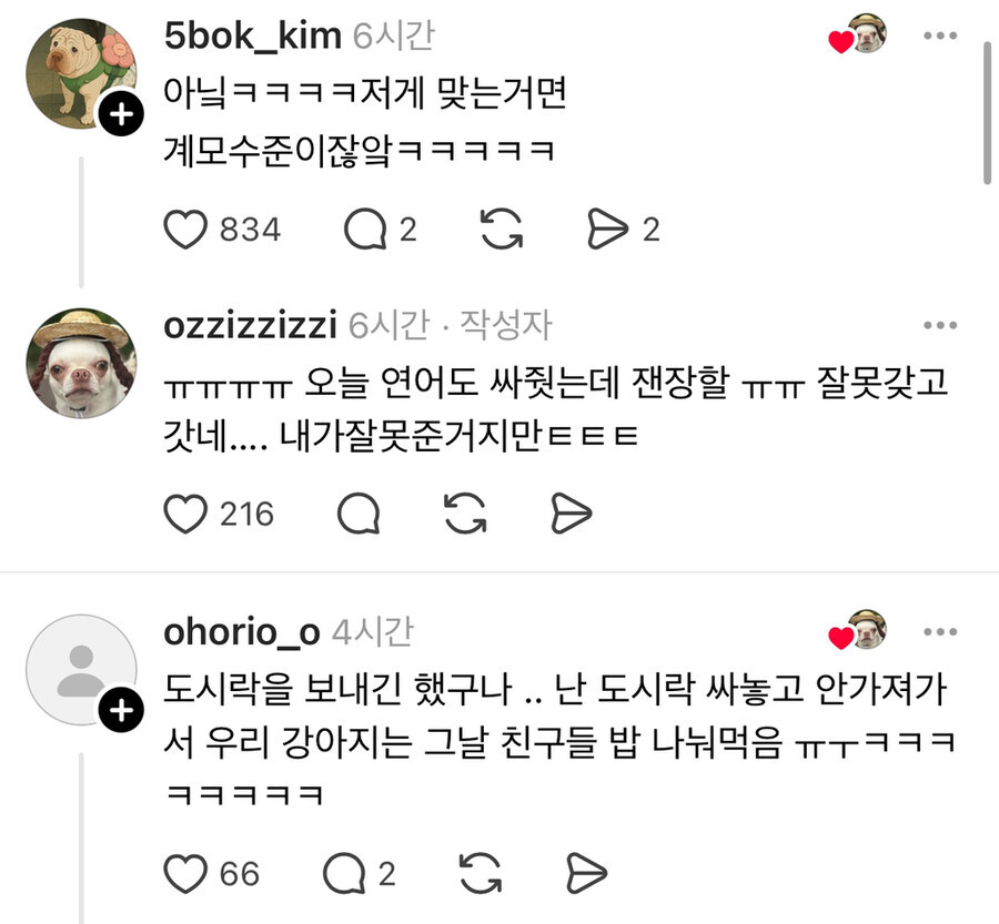 강아지 유치원에 도시락 잘못 싸서 보냈더니 온 카톡_3.jpg
