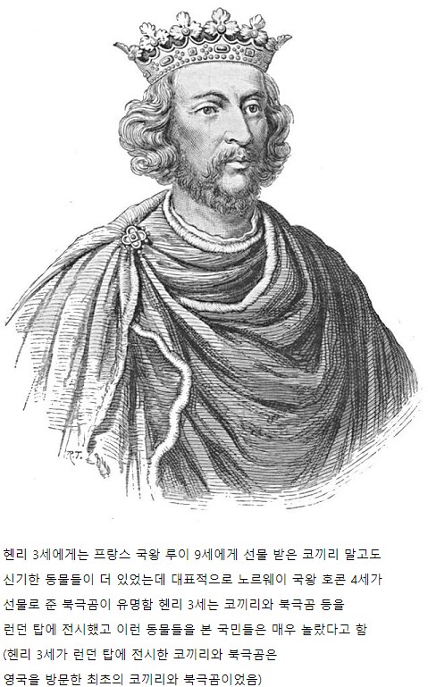 13세기 영국 국왕이 선물 받은 신기한 동물들_2.png