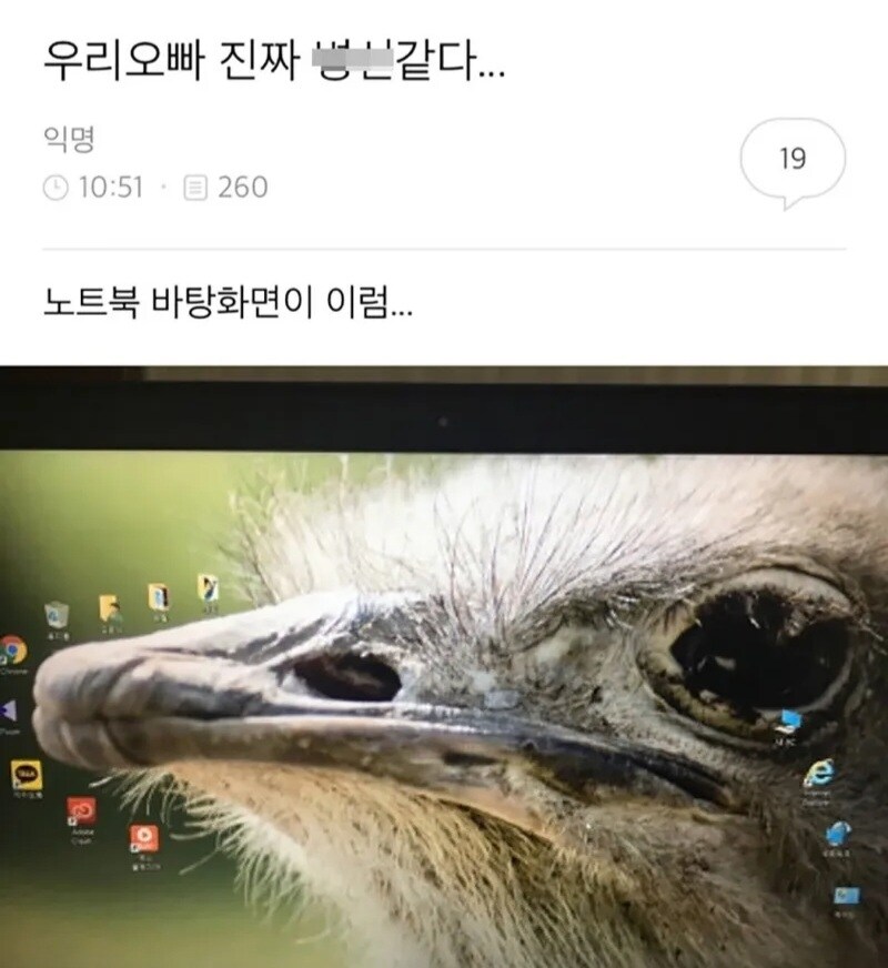 우리오빠 진짜 ㅂㅅ같다..._1.jpg
