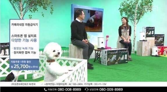 홈쇼핑 방송사고_2.jpg